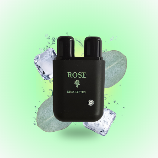 אקליפטוס/ROSE STICK Eucalyptus
